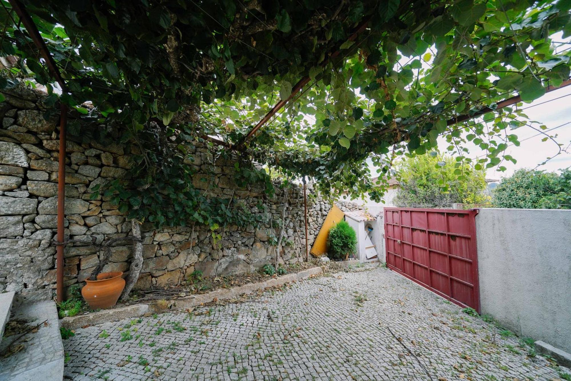Apartament Martinho'S House Alijó Zewnętrze zdjęcie